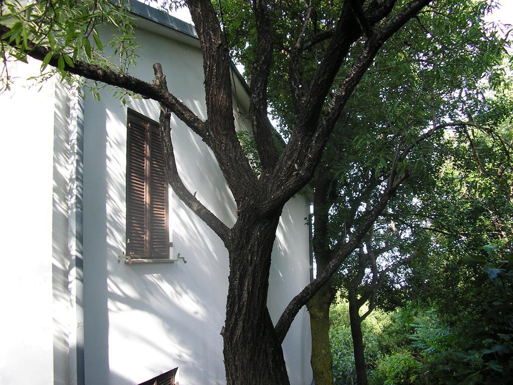 Bilic Apartma