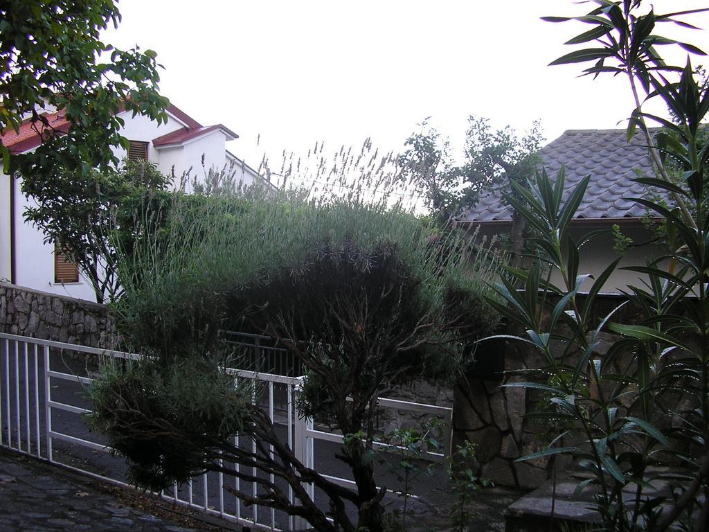Apartma Bilic *